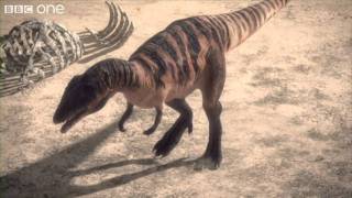 Carcharodontosaurus  Planet Dinosaur  Episode 1  BBC [upl. by Amahcen]