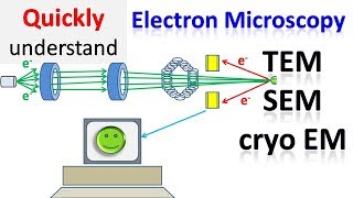 Electron microscope  TEM  SEM  Cryo EM [upl. by Katzir]