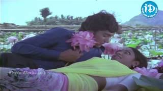 Minneti Sooreedu Song  Seethakoka Chilaka Movie Songs  Karthik Muthuraman  Aruna Mucherla [upl. by Hbahsur]