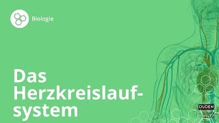 Das Herzkreislaufsystem So funktionierts – Biologie  Duden Learnattack [upl. by Rhpotsirhc]