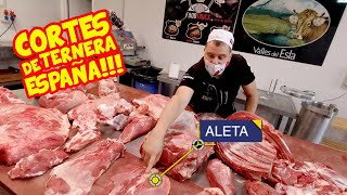 Los CORTES de la TERNERA en ESPAÑA 🐄 Pecho Babilla Aleta Tapa Contra [upl. by Bultman65]