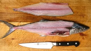 How to Fillet a Fish [upl. by Gertie438]