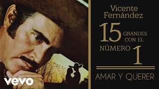 Vicente Fernández  Amar y Querer Tema Remasterizado Cover Audio [upl. by Soraya]