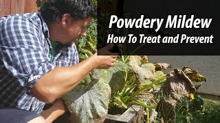 Powdery Mildew Prevention and Treatment 2019 [upl. by Cousins]