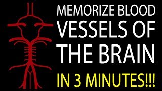 MNEMONIC Brains Blood Supply MEMORIZE in 3 Minutes [upl. by Caro350]