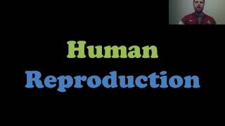 Human Reproduction [upl. by Acinemod]