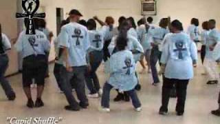 Step  Line Dance  quotCupid Shufflequot [upl. by Renny780]