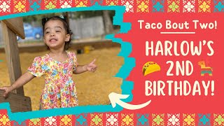 Harlow’s 2nd Birthday Fiesta 🪅 🌮 [upl. by Yraeg]