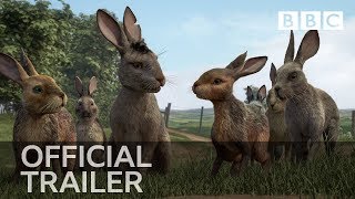 Watership Down  Battlefield [upl. by Gratianna]