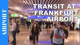 TRANSIT WALK AT FRANKFURT Airport FRA Terminal 1  Connection Flight Transfer Arriving amp Departing [upl. by Evelin266]