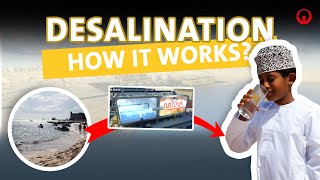 HOW and WHY do we manage DESALINATION [upl. by Annerol]