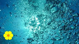 Underwater REAL Bubble Sounds  Water Bubbles  Underwater Sounds Ambience to Relax White Noise [upl. by Adoree346]