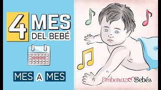 📆👶🏻 CUARTO MES del bebé  4 MES  Desarrollo y cuidados [upl. by Ennahoj]