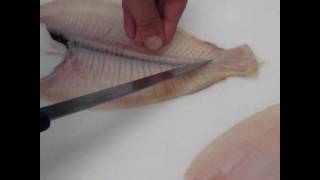 Passionate About Fish  How to fillet Plaice fillets beginners [upl. by Nnyrat]