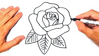 Cómo dibujar una Rosa Paso a Paso [upl. by Nnaeitak]