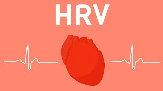 Everything You Should Know About Heart Rate Variability HRV [upl. by Orelee]