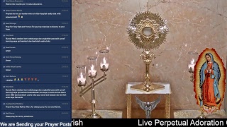 LIVE Perpetual Eucharistic Adoration Spend some Time with Jesus [upl. by Alfred560]